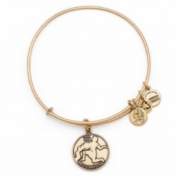 Pulsera de metal dorado con signo Aquarius de Alex and Ani - A13EB01AQRG