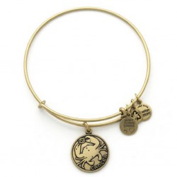 Pulsera signo Cáncer de Alex an Ani - A13EB01CNRG